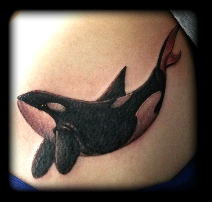 Killer Whale