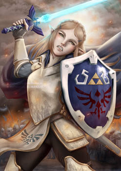 Armored Zelda - War