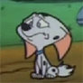 Cadpig Crying