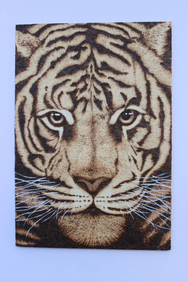 Pyrography Tiger by A--Nonyme on DeviantArt