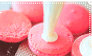 Pink Macaron Cream