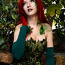 Its Ivy Poison Ivy