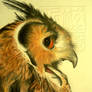 Indian Eagle Owl