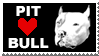 PIT BULL LOVE by CRAZYGRAFIX