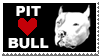 PIT BULL LOVE