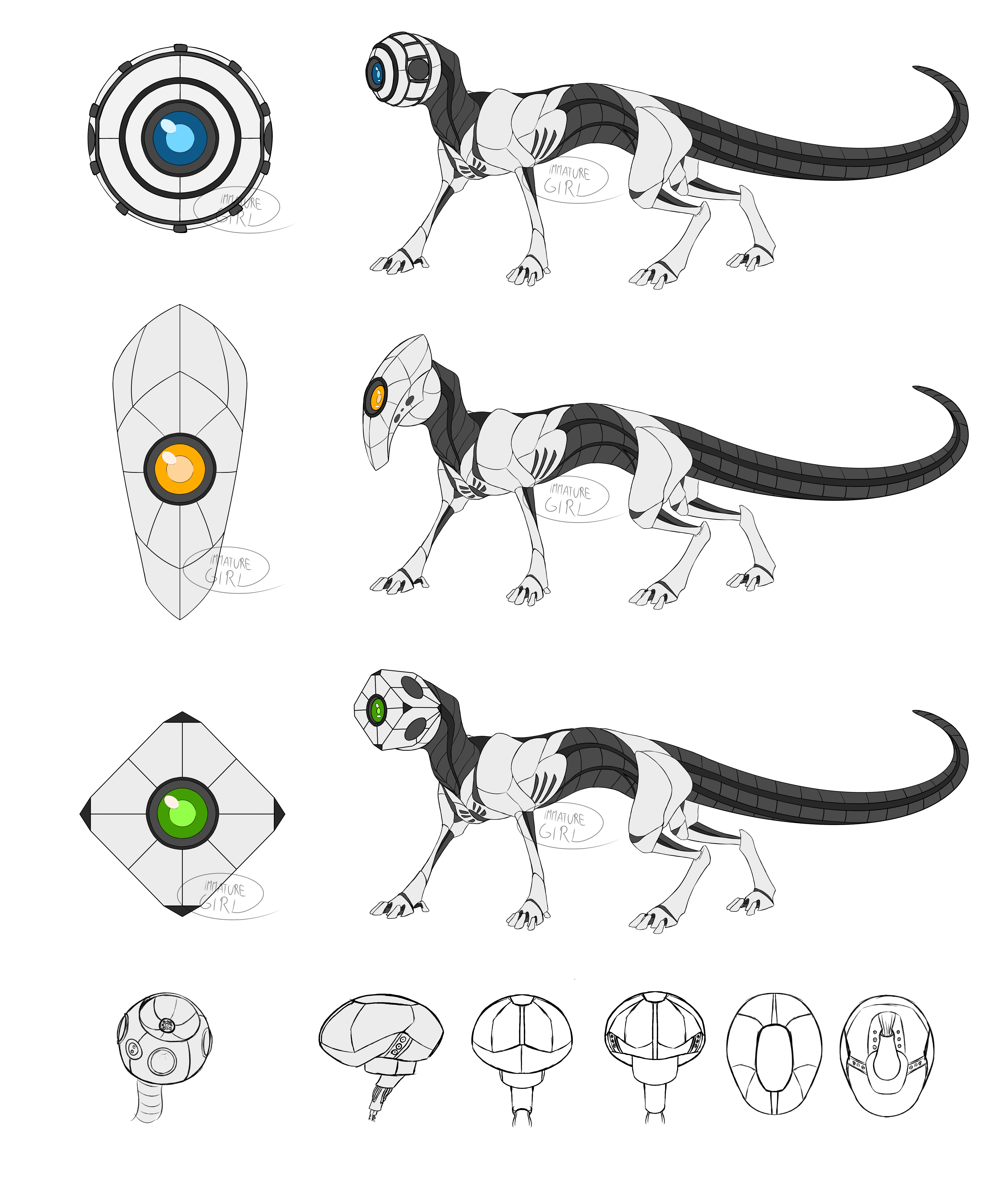 Head Types Comparison (WIP species)