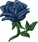 Blue rose