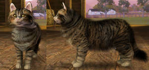 Plushie the cat in The Sims 3 - DOWNLOAD