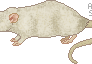 Monchichi, pet rat in pixels