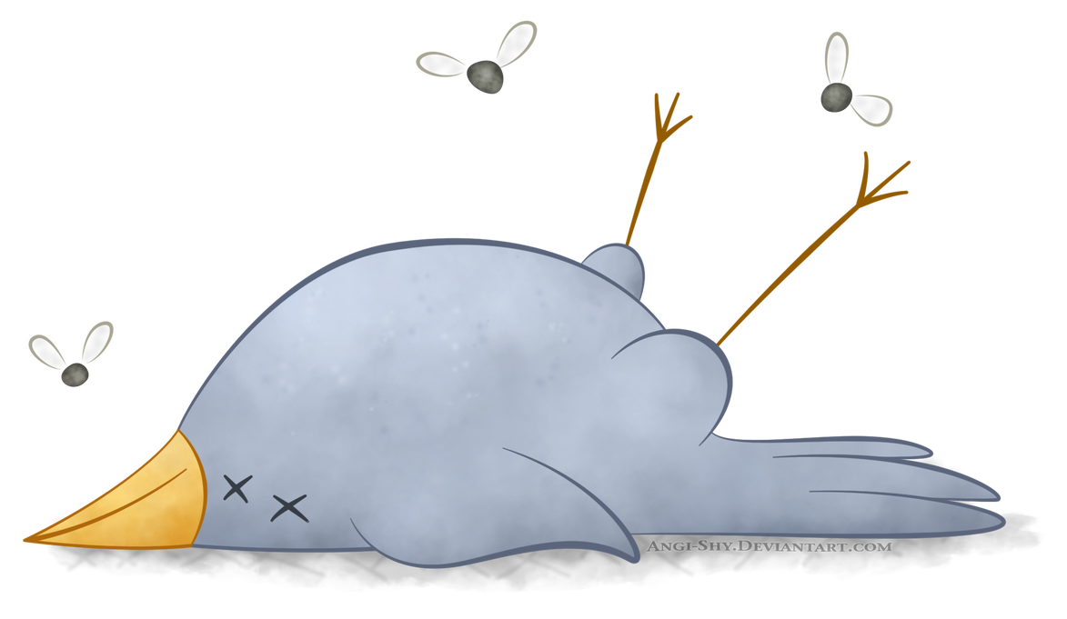 Dead bird by Angi-Shy on DeviantArt