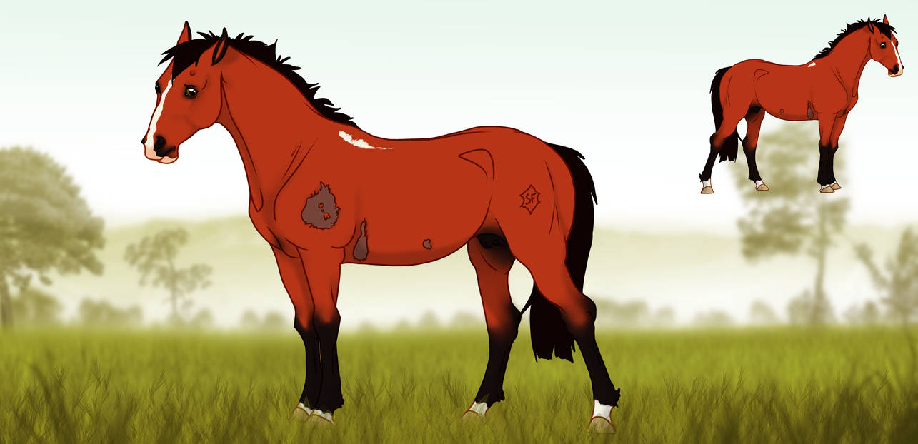 Af Razack DIRPG | RAZACK | Lead stallion by LYSDOR on DeviantArt