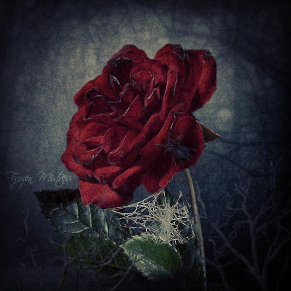 Bloodflower by frozenmistress on DeviantArt