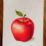 Apple Still-life Drawing