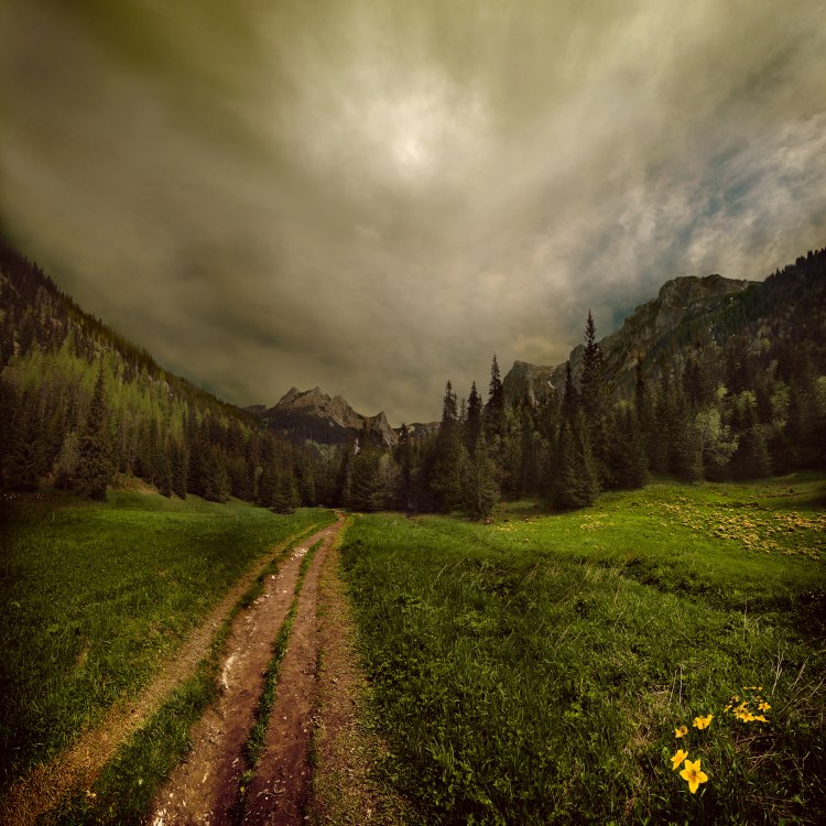 the valley of the small meadow