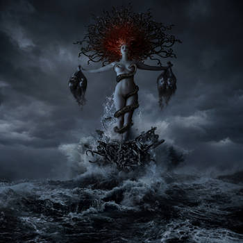 Medusea by Alcove