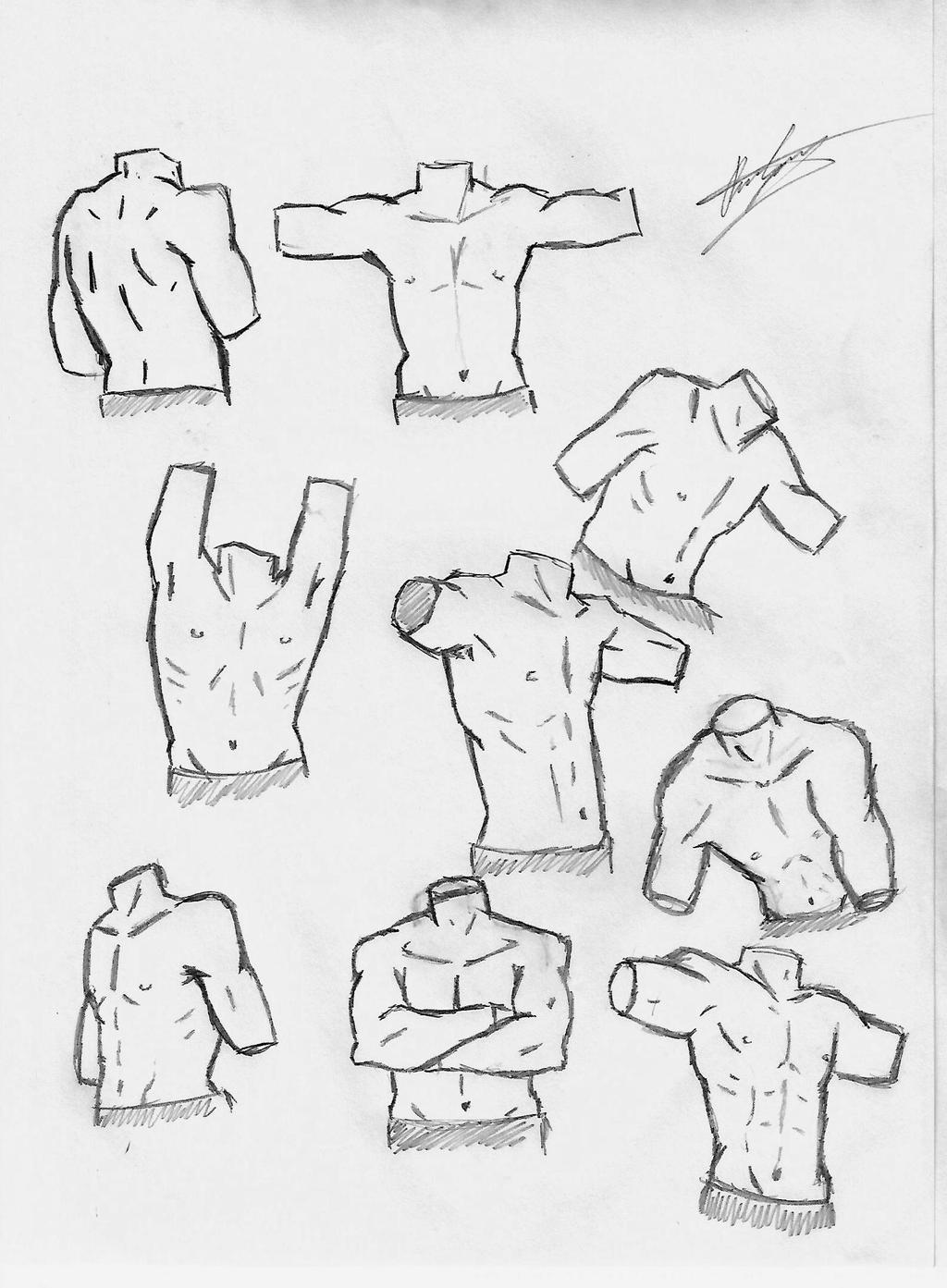 Men Torso Reference Male torso reference by DielLima on DeviantArt