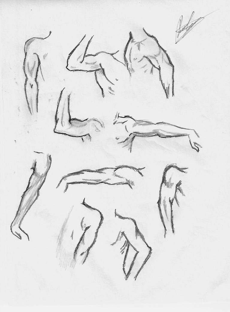 Male arm reference by DielLima on DeviantArt