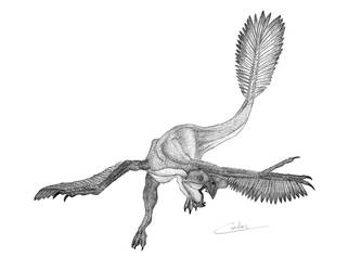 Oviraptor by CarlosVenator