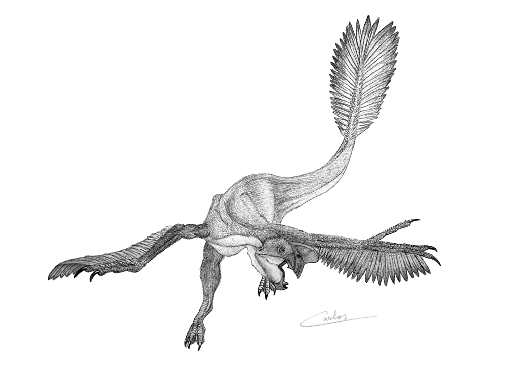 Oviraptor