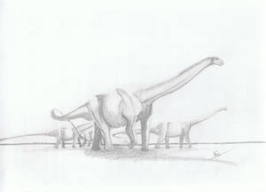 Sauropode