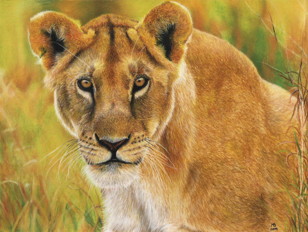 Lioness by Nemonvmv Lioness by Nemonvmv