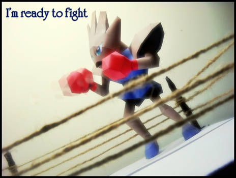 Hitmonchan - I'm ready to fight
