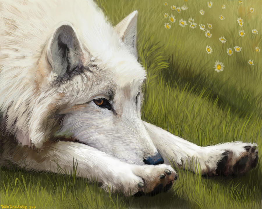 Favourite-wolves DeviantArt Gallery