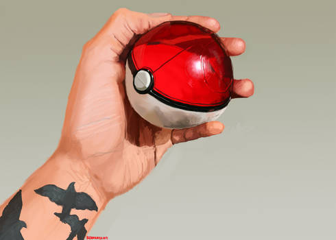 The Pokeball