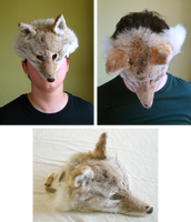 Light Coyote Mask (for sale)