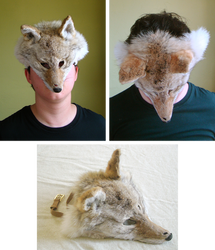 Light Coyote Mask (for sale)