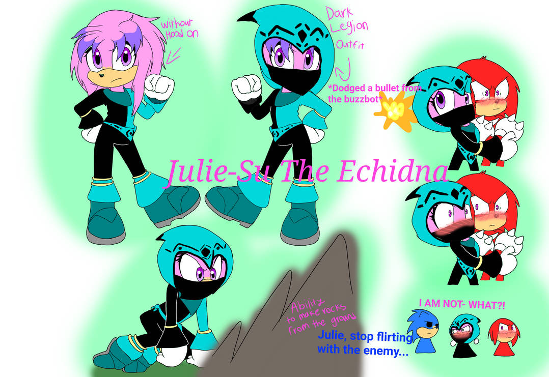 Julie Su The Echidna  Sonic fan art, Sonic the hedgehog, Sonic