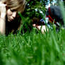 green.green grass