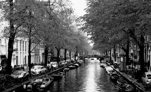 autumn by canals