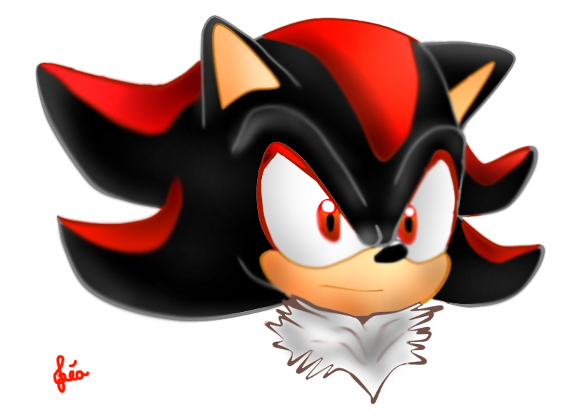 ~Shadow the hedgehog colored~