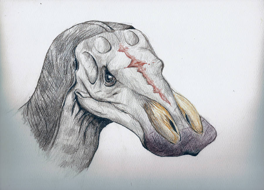 Male Anatotitan by Raptor-dude
