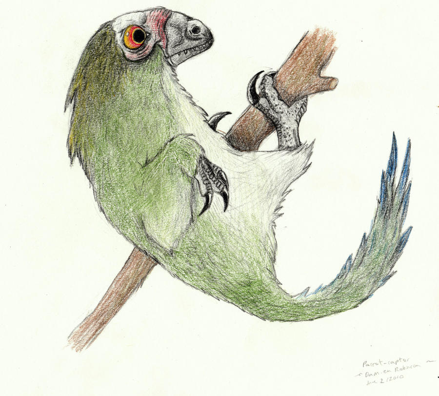 ParrotRaptor by Raptor-dude on DeviantArt