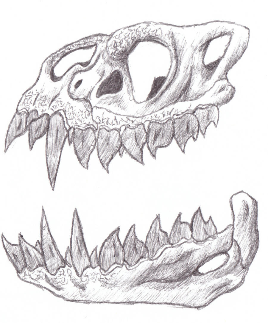 Alien Predator Skull