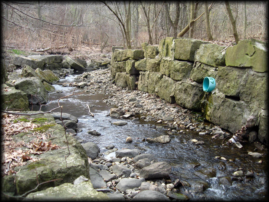 Balfour Park Ravine II