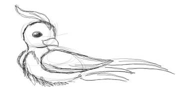 Phoenix Chick sketch