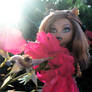 Clawdeen Glam shoot1.