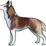 OBO Siberian Husky