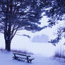 winter bench2