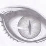 Claymore eye