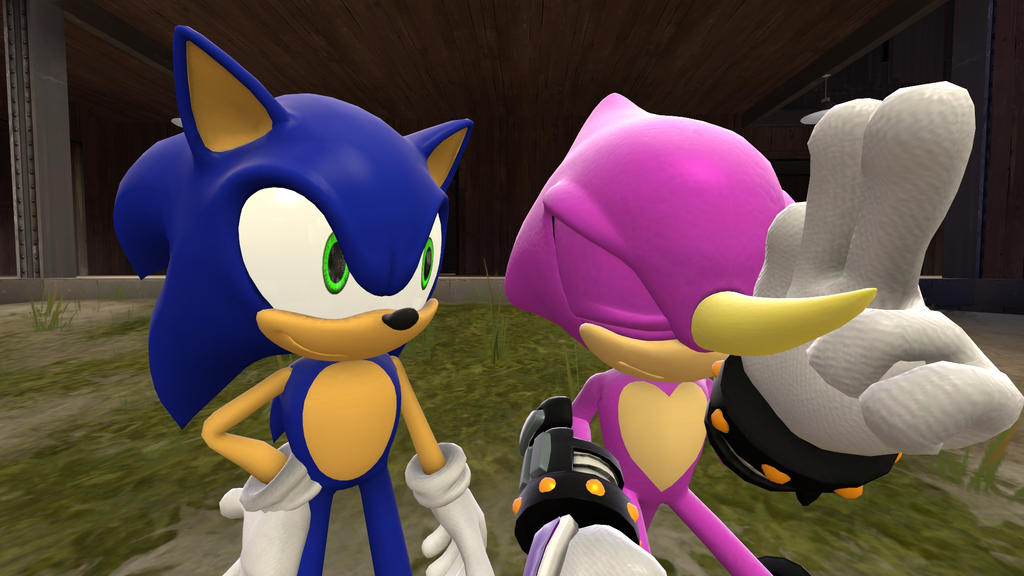 Sonic and Shadow in Green Hill Zone (5) by Banjo2015 on DeviantArt