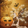 The Pumpkin Fairie