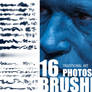 Brush set_Trditional art look