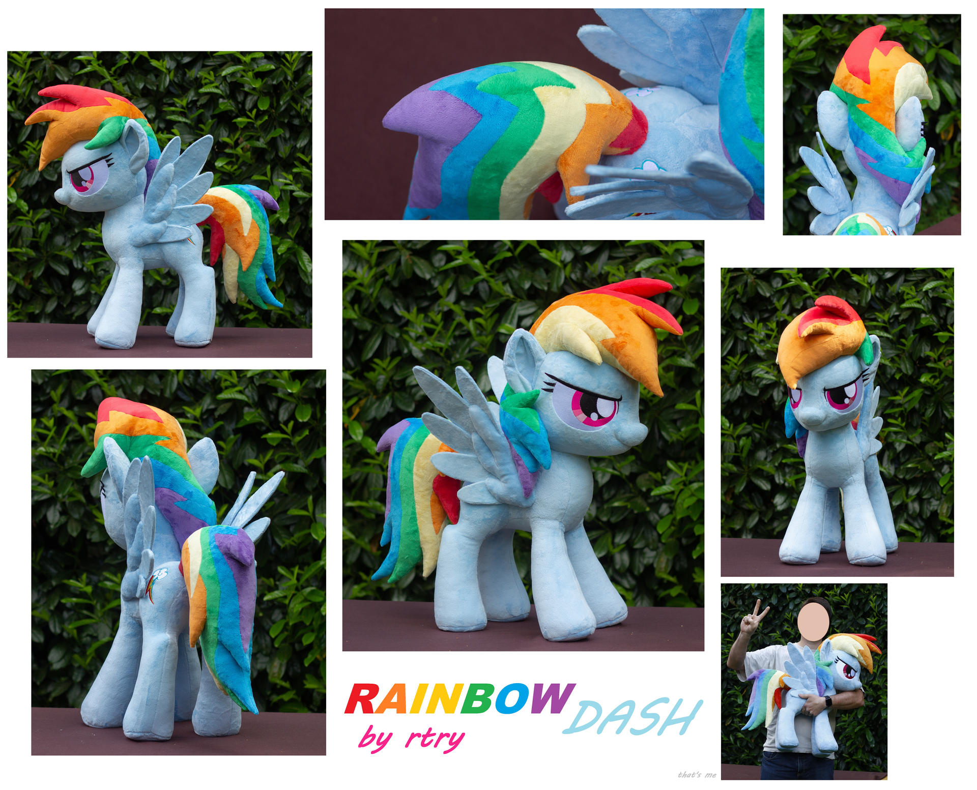 My Little Pony: Rainbow Dash 2021 V1
