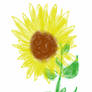 Single Sunflower~