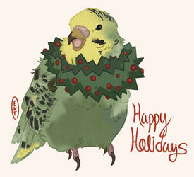 birb holidays 