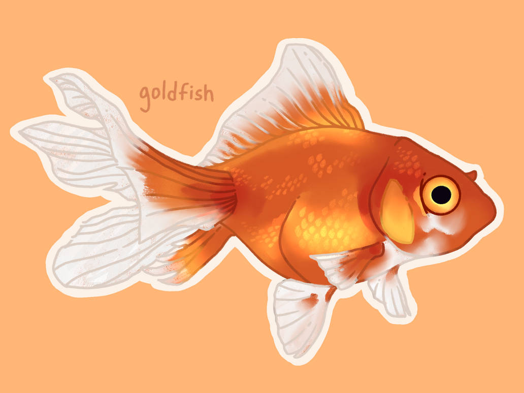 Deviantart 2007 Goldfish goldfish by Otokyi on DeviantArt
